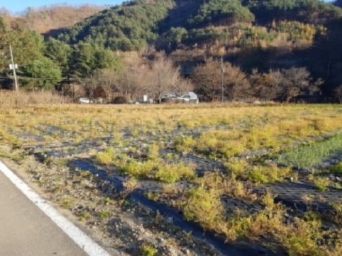 물건 사진 8
