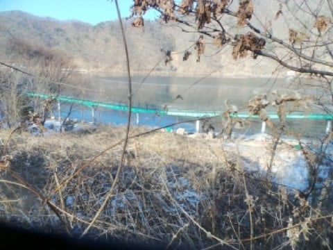 물건 사진 13