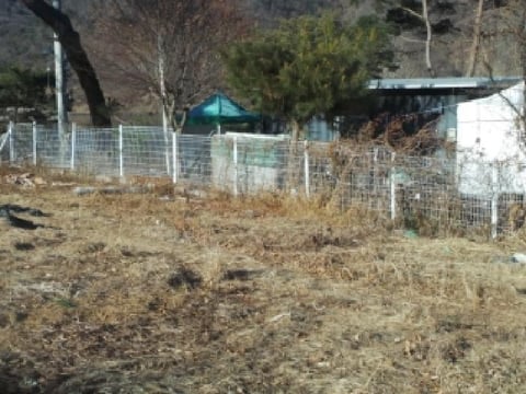 물건 사진 15
