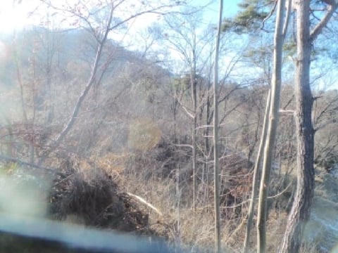 물건 사진 5