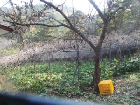 물건 사진 107