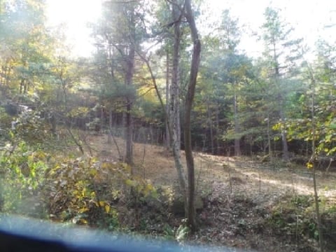 물건 사진 120