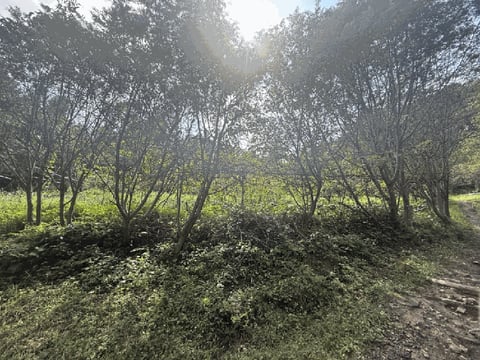 물건 사진 130