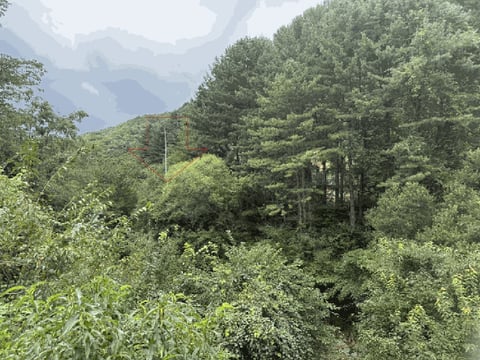 물건 사진 134