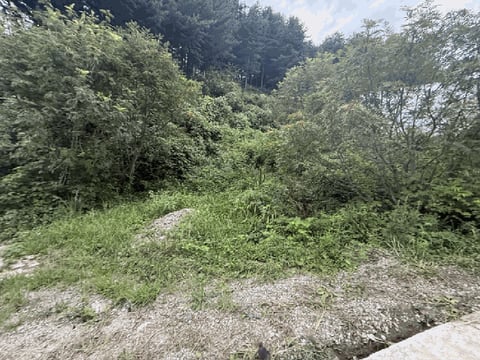 물건 사진 148