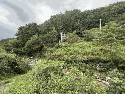 물건 사진 153