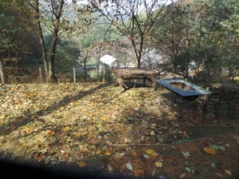 물건 사진 17