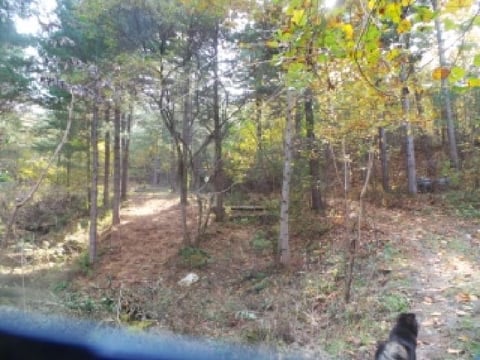 물건 사진 55