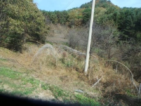 물건 사진 74