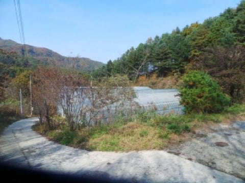 물건 사진 76