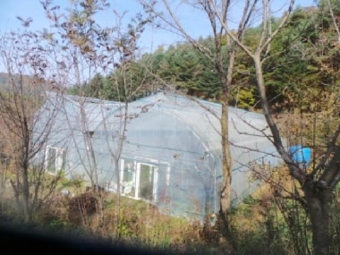 물건 사진 77