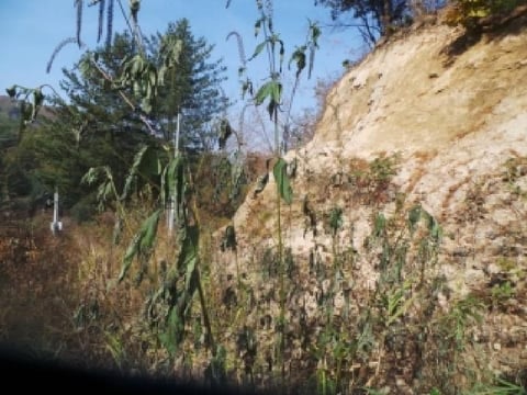 물건 사진 85