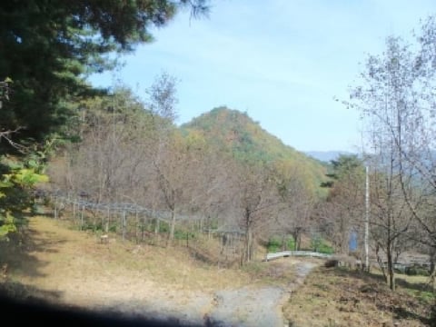 물건 사진 89