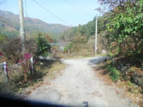 물건 사진 98