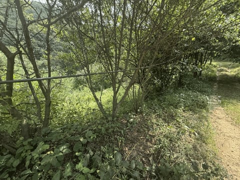 물건 사진 128
