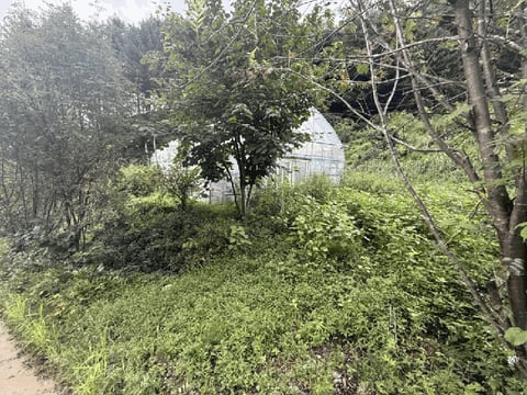 물건 사진 139