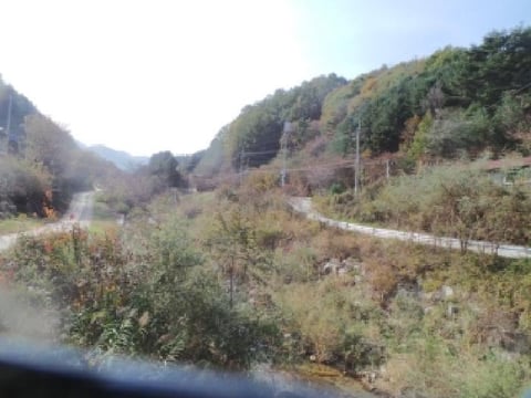 물건 사진 35