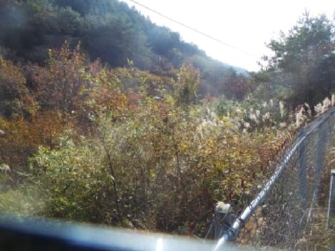 물건 사진 36