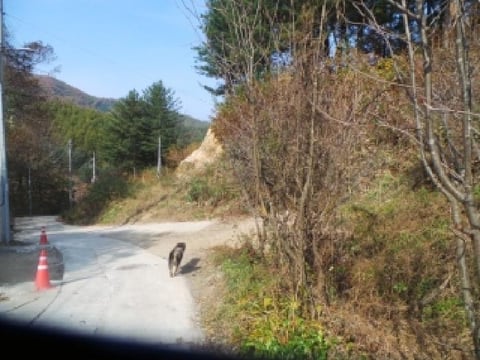 물건 사진 86