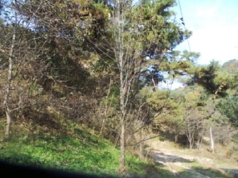 물건 사진 94