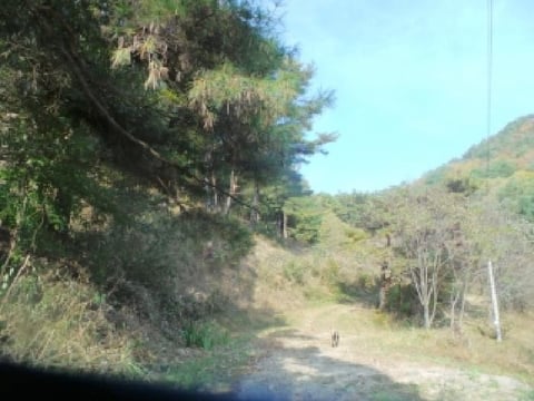 물건 사진 95