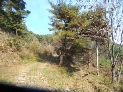 물건 사진 97