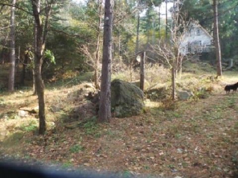 물건 사진 117
