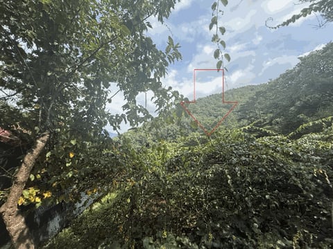 물건 사진 124