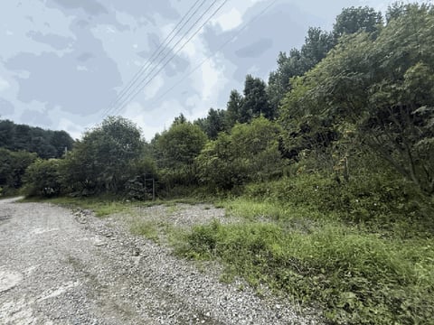 물건 사진 137