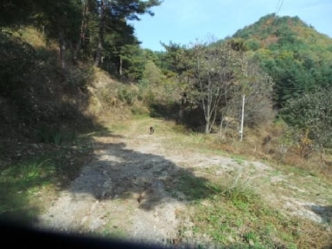 물건 사진 3