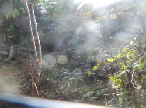 물건 사진 27