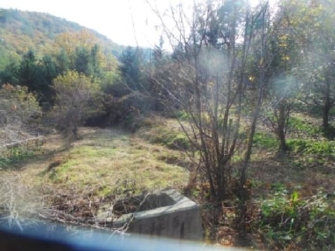 물건 사진 68
