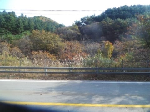 물건 사진 73