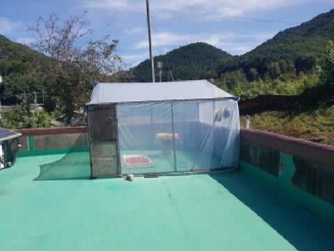 물건 사진 7