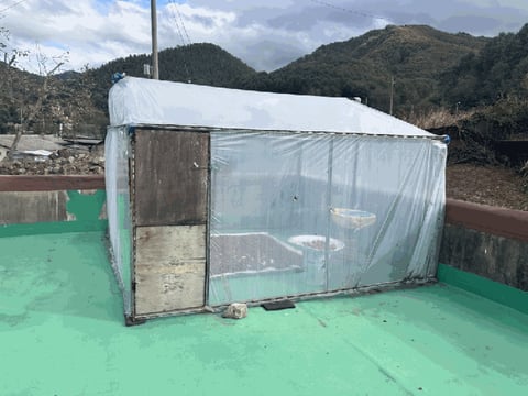 물건 사진 10