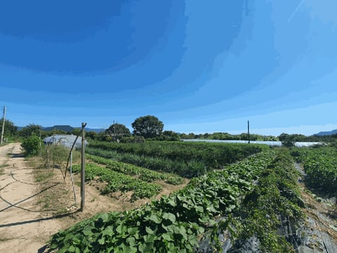 물건 사진 9