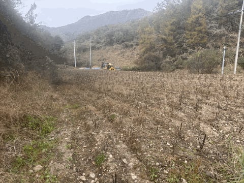 물건 사진 11