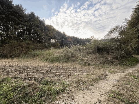 물건 사진 12