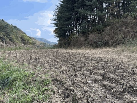 물건 사진 13