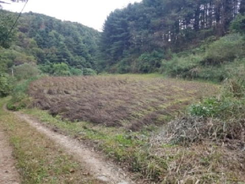 물건 사진 6