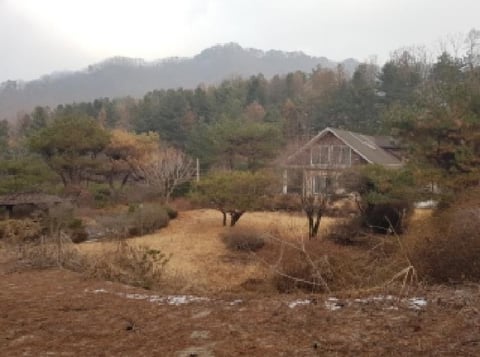 물건 사진 2