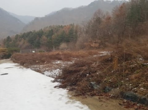 물건 사진 11