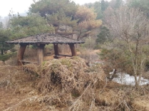 물건 사진 12
