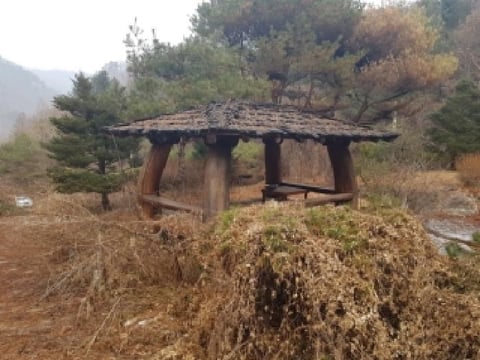 물건 사진 15