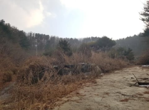 물건 사진 17