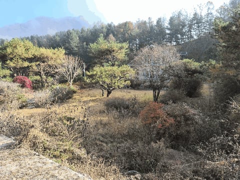 물건 사진 23