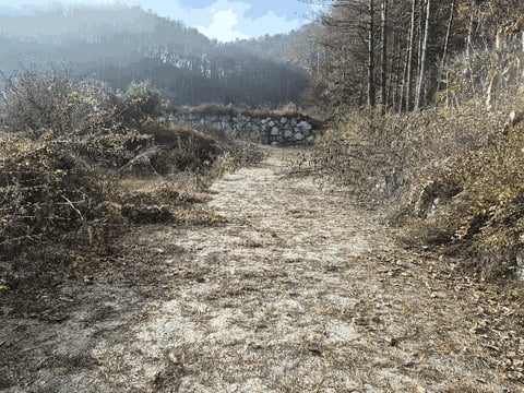 물건 사진 24