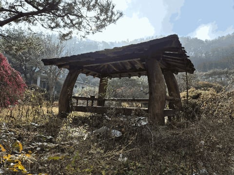 물건 사진 25