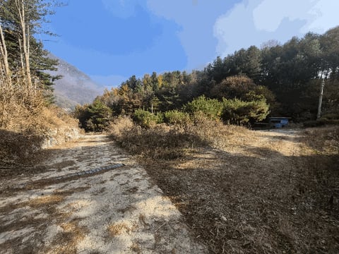 물건 사진 27
