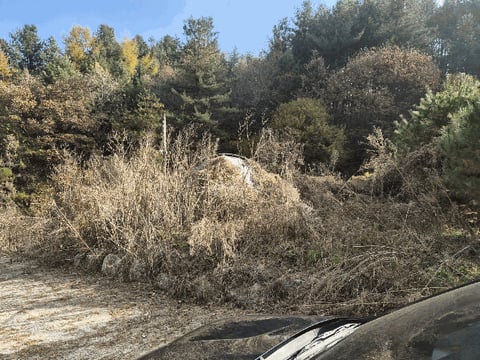 물건 사진 28